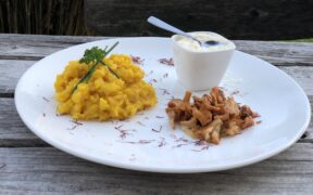 Risotto Milanes mit gebratenen Pfifferlingen